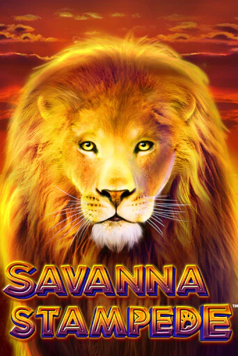 Savanna Stampede бесплатная демо игра онлайн казино | Покер Дом